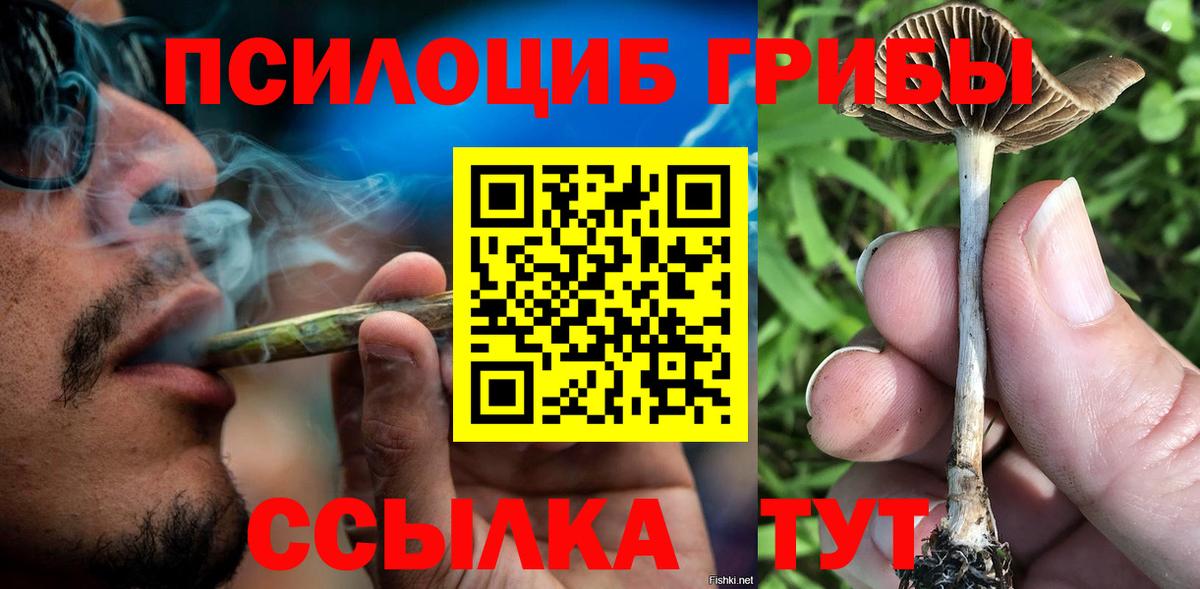 Псилоцибиновые грибы GOLDEN TEACHER Ижевск